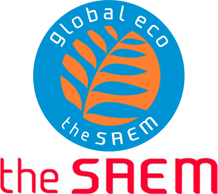 THE SAEM THE SAEM